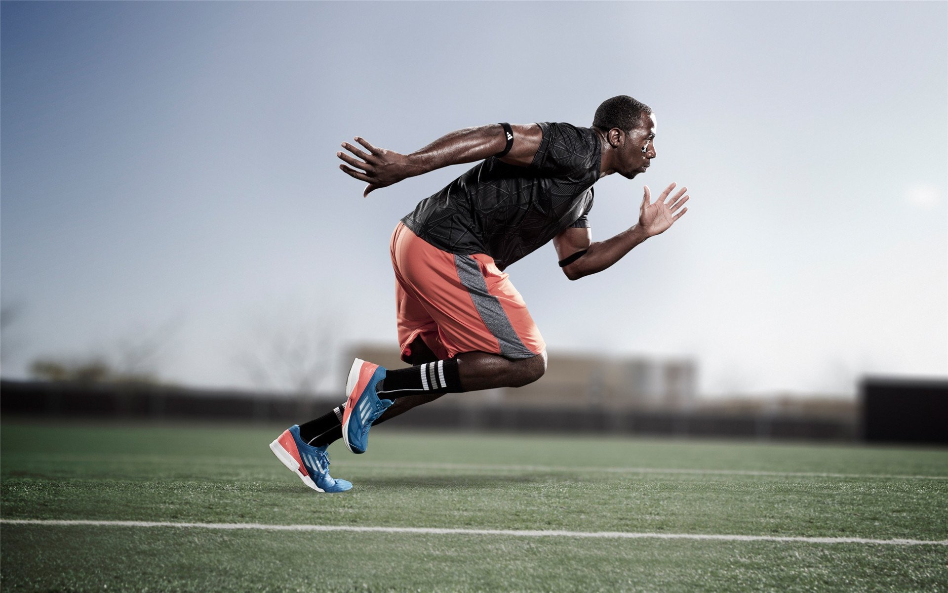 开云体育2026-灰熊的逆袭与霍勒迪的加冕，跨越篮球世界的决胜者之歌  第2张