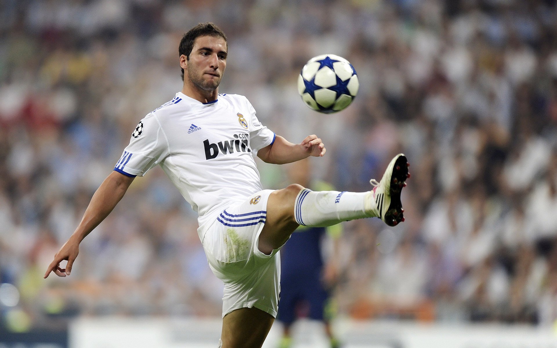 开云体育中国-凯恩的舞台，当日本足球的精密齿轮咬合安哥拉的狂野心跳  第2张