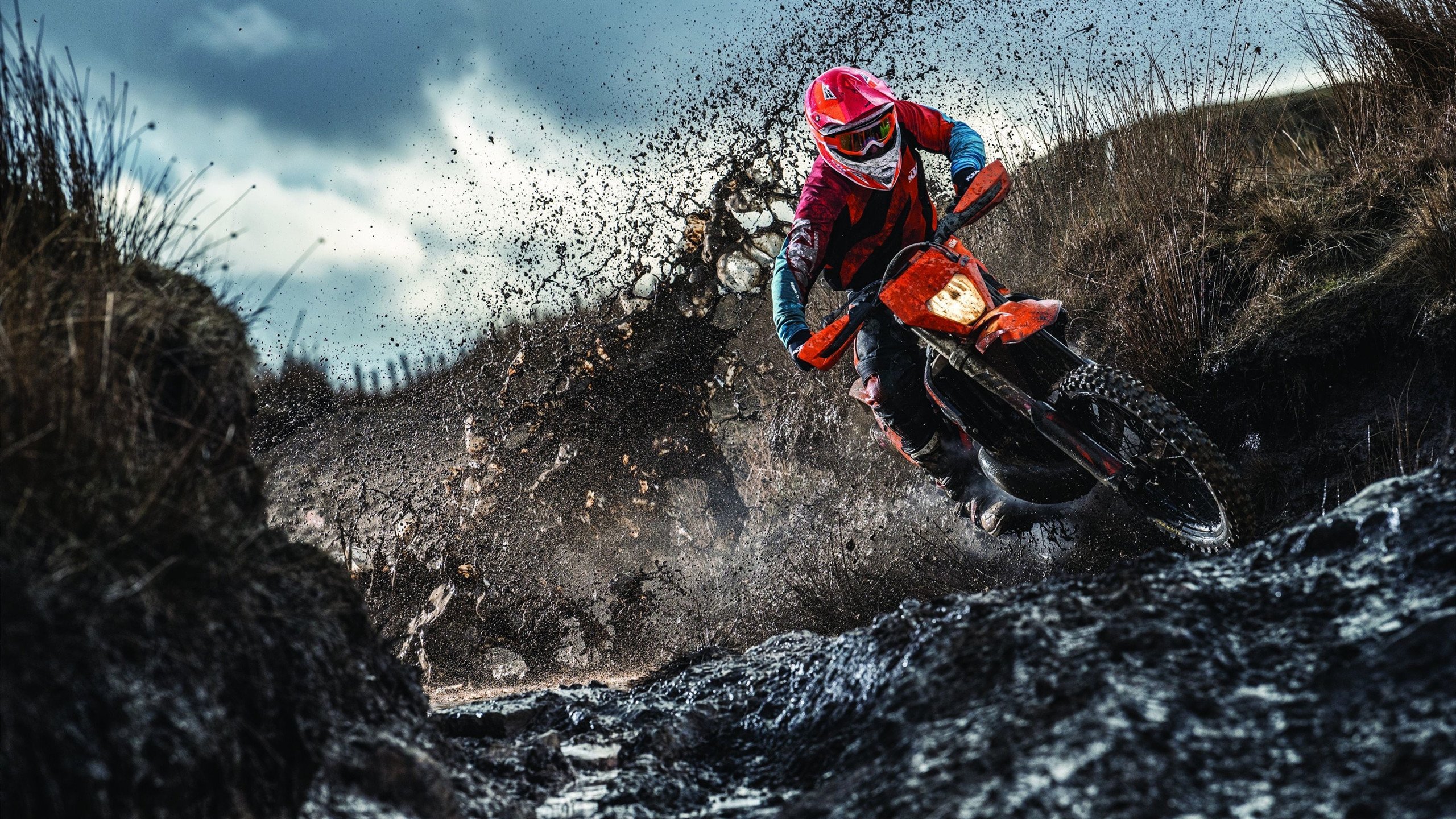 开云体育2026-凯尔特人制霸深圳队，霍勒迪在季后赛抢七接管比赛  第2张